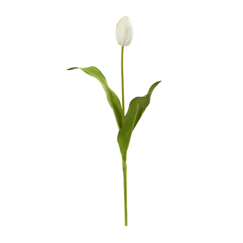 Tulip Arrangement, White