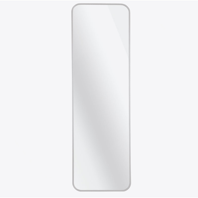 Door Mirror