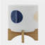 S / 2 5/8 "PLANTES AMUSANTES AVEC SUPPORT, BLANC