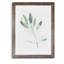 « simple sage ii »-cadre photo imprimé sur verre-1626722279-1626722276