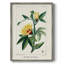 «Turpin Tropical Botanicals VI», reproduction encadrée - bois massif-436315276