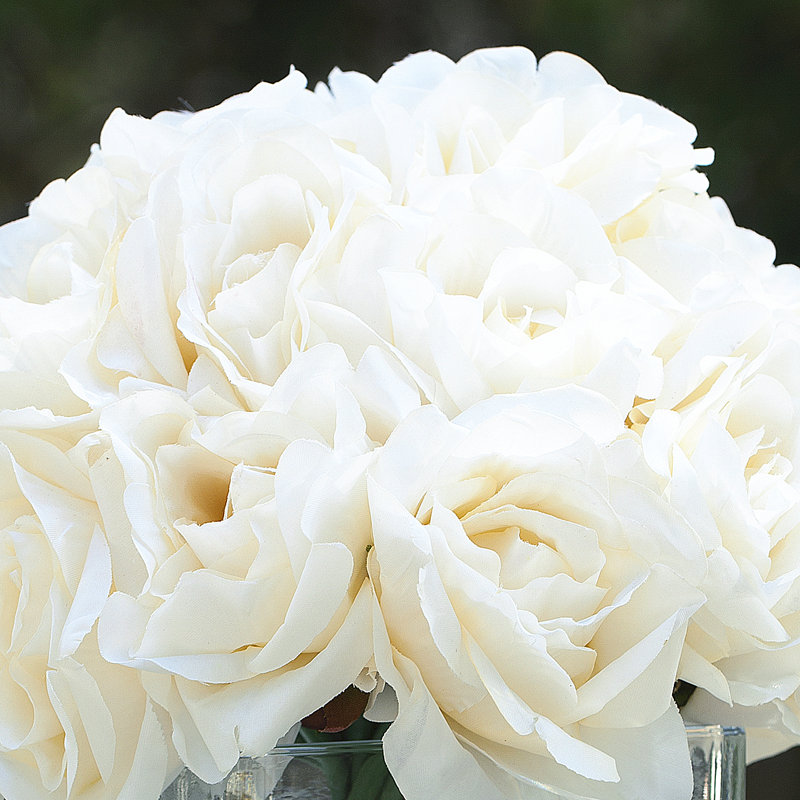 Arrangement floral de roses dans un vase, Crème