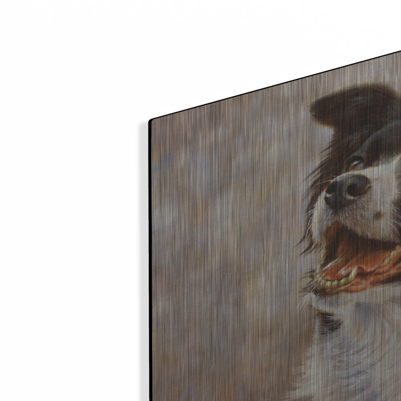 «Border Collie I Love You Dad» par John Silver, H 16 po x l 24 po