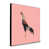 Rose est en rupture de stock