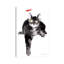 Fascinated by Soo Beng Lim - Wrapped Canvas Gallery-Wrapped Canvas Giclée-413579270