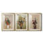 Imprimé floral rétro ccclv - impression encadrée sur mesure de qualité supérieure - 3 pièces-119875251-119875255