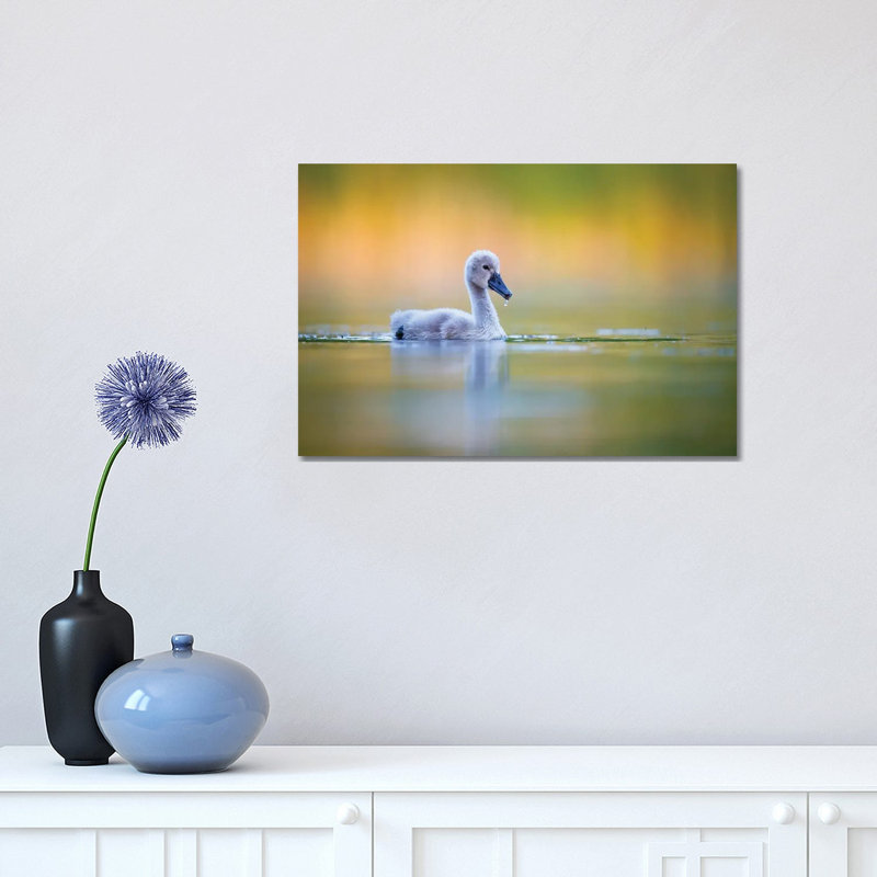 Cygnet 1 Piece Wrapped Canvas Wall Art, 30.48 cm H x 45.72 cm W