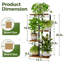 Plant Stand