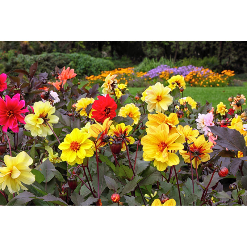 Formal Garden by Tom_Coultas - Wrapped Canvas Print, 51cm H x 76cm W x 3.8cm D