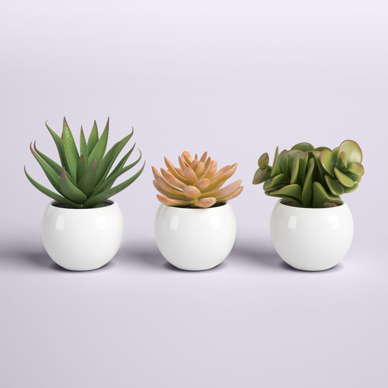 Ensemble de 3 plantes grasses artificielles en pot