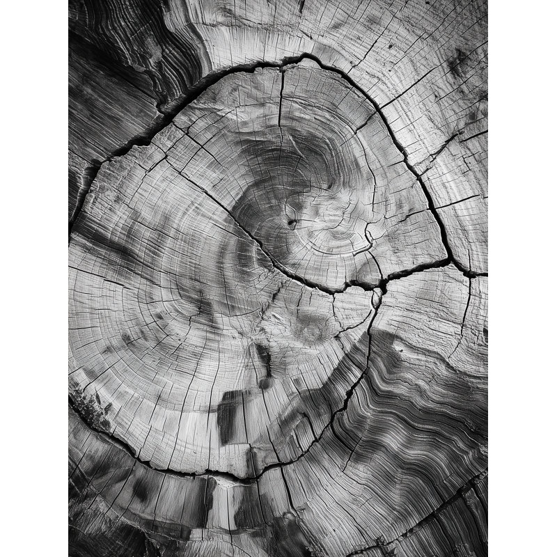 Burnt Origins Grain, 20" H x 26" W