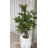 55'' Faux Cannabis Tree in Planter