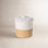 Scotia Stoneware Jar