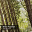 Rideau de douche Sun 12-176629179