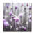 White/Violet/Grey