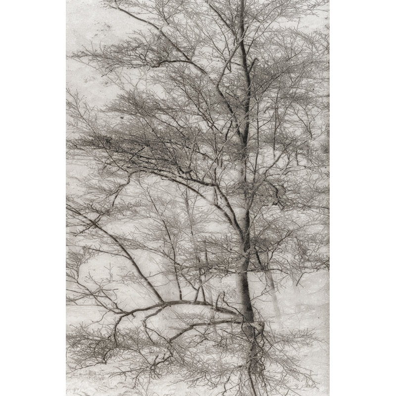 " Tree Triptych I " by Norm Stelfox, 48" H x 32" W x 1.25" D