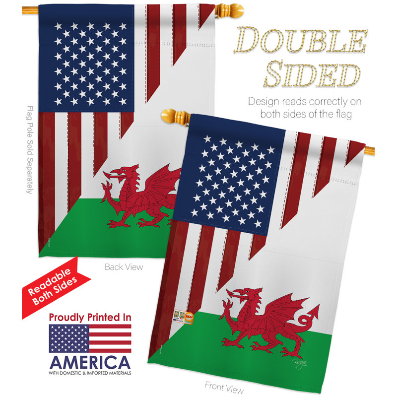 Ensemble de 2 drapeaux de maison 2 côtés en polyester 40 x 28 po amitié impressions