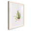 Gardenaire II - peinture encadrée-1104576833-1104576841