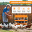 Boîtes de nidification à poulets 6/8/10