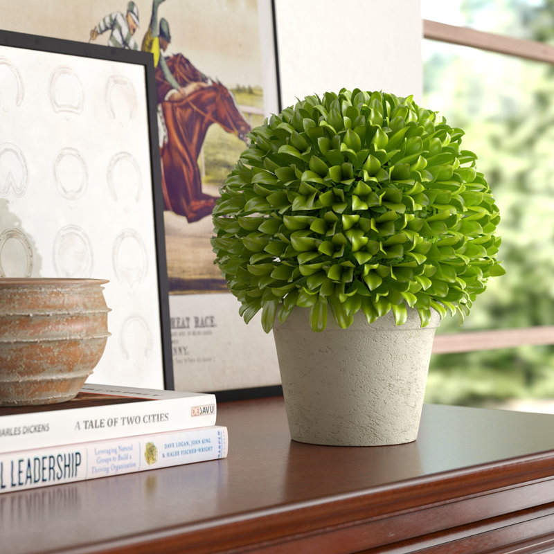 Kinsley Foliage Topiary in Pot, 10" H x 8" W x 8" D