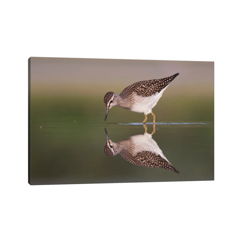Mirror 1 Piece Wrapped Canvas Wall Art, 101.6 cm H x 66.04 cm W x 3.175 cm D