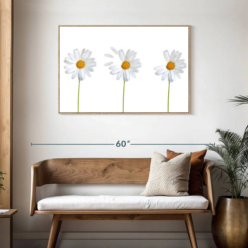 Marguerites plumées, Cadre flottant en bois naturel, 43 po x 29 po