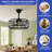 Kendley Ceiling Fan with Light Kit