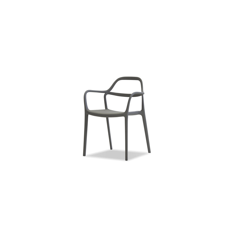 Chaise avec accoudoirs Chewie, gris