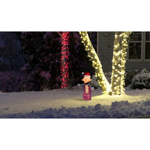 https://assets.wfcdn.com/im/63511540/resize-h310-w310%5Ecompr-r85/2110/211074754/rudolph-charlie-in-the-box-3d-lighted-display.jpg