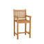 Elzas Outdoor Teak Bar Stool