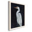 Kalamunda Calm Great Egret I, reproduction d'art sur toile-88378693-88378699