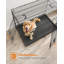 Collapsible Pet Crate with 2 Doors-105919710