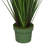 Faux Reed Grass in Vase