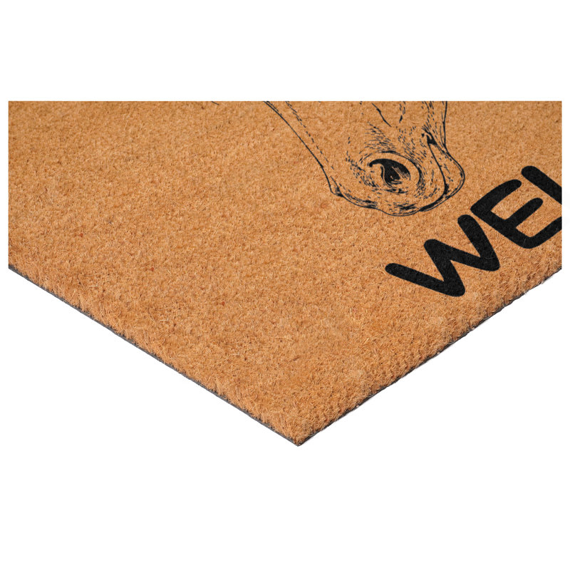 Danelis Non-Slip Animal Print Doormat, 17" x 29"