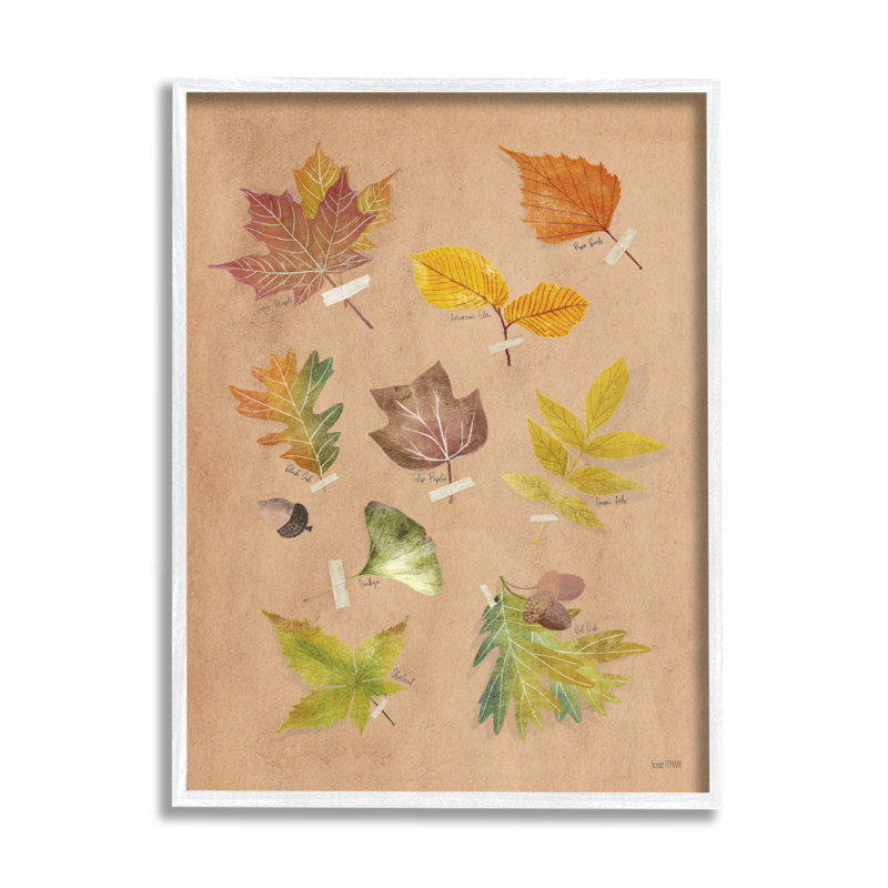 Conception d'art sur toile Stupell Industries Woodland Leaf par House Fenway, H 14 po x l 11 po x P 1,5 po