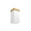 Luminaire suspendu unique à 1 lumière Cache-68945766-68945717