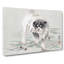Young Dog by Ohara Koson - Wrapped Canvas Painting-55319916