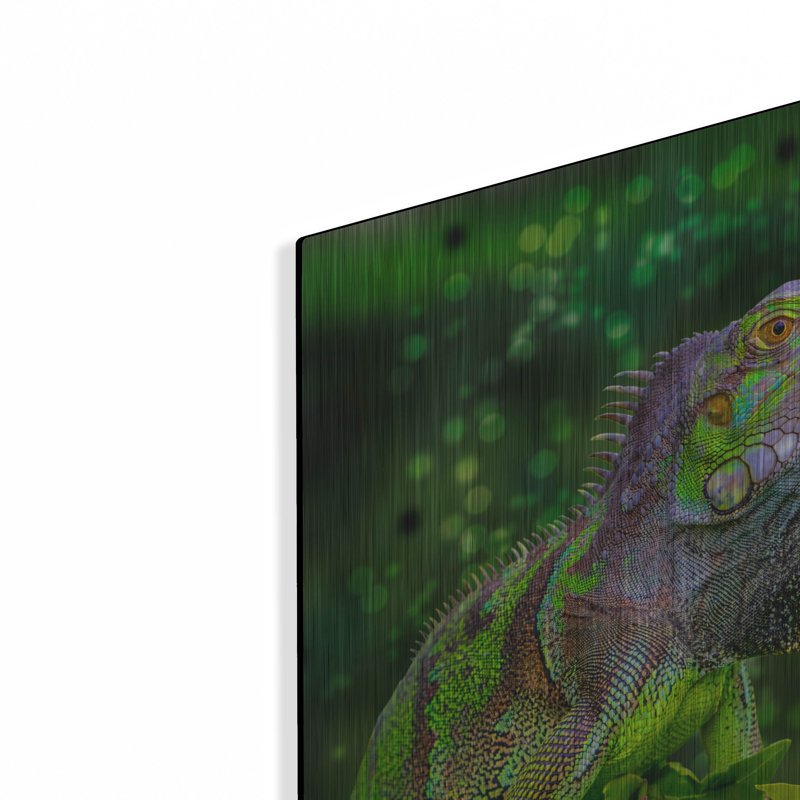 «Green Iguana» par Don Spears, H 12 po x l 16 po