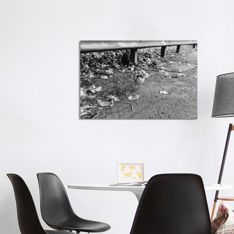 Why Did The Chicken Cross The Road? by Bethany Young - Wrapped Canvas Print, 101.6 cm H x 66.04 cm W x 1.91 cm D