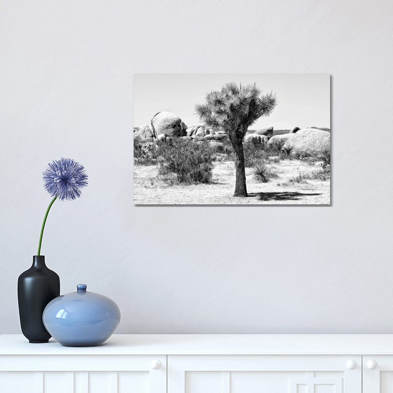 Joshua Tree III 1 Piece Wrapped Canvas Wall Art, 30.48 cm H x 45.72 cm W