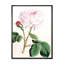 Fleur rose rétro - peinture sur toile-59815357-59815350