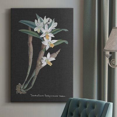 " Orchid On Slate I "