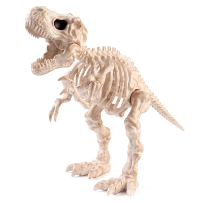 Squelette T-Rex 16 po