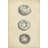 Cylindrical Shells I-797371268