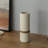 Bequette Ceramic Table Vase-121724659-121724668