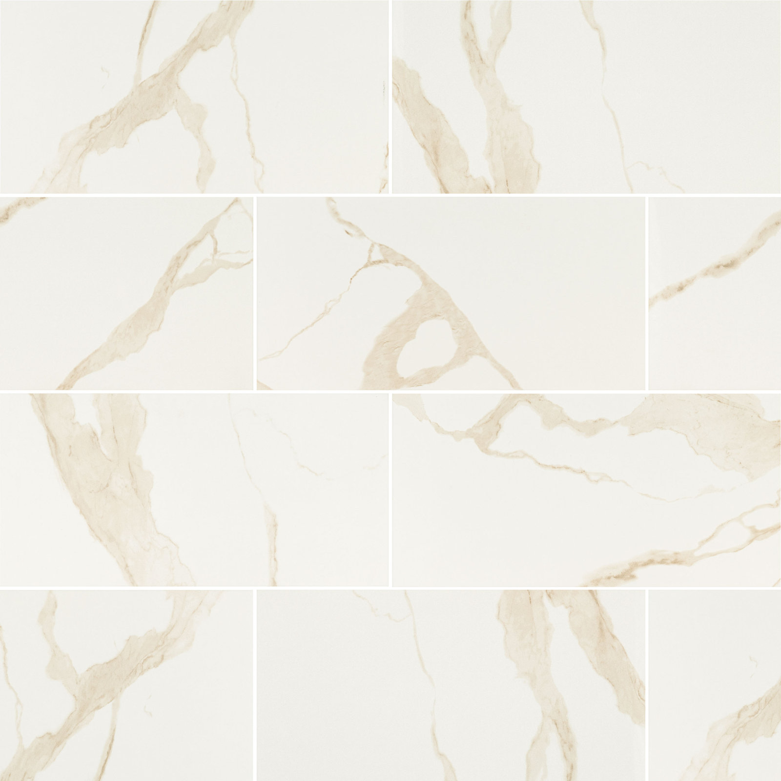 Ardena 24" x 48" Polished Porcelain Tile, Vena