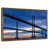 Floating Frame Gold