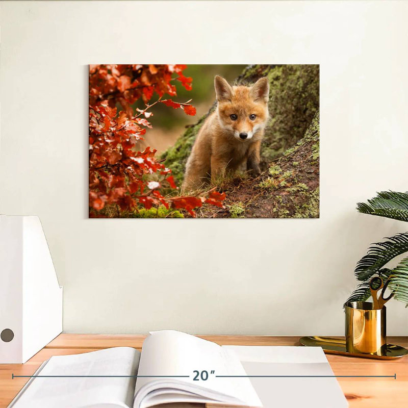 Brampt Fox Pup, 8" H x 12" W