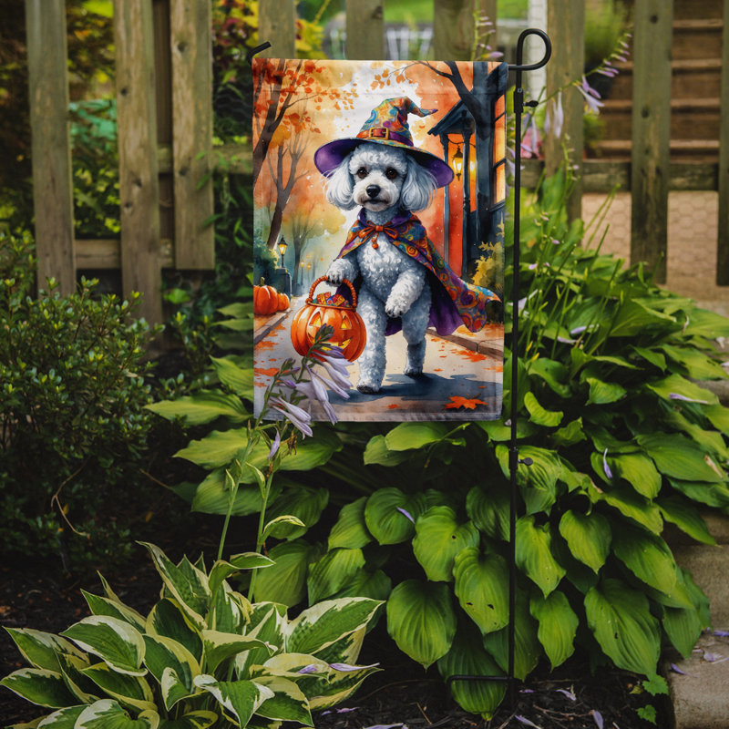 Drapeau du jardin Mastiff, Caniche blanc