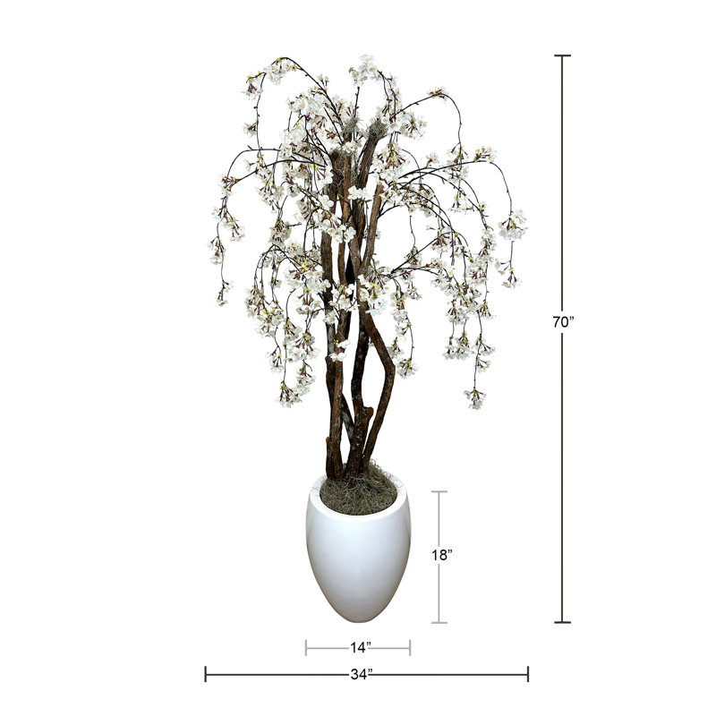 Cerisier moderne 5,75 pi avec véritable bois de dragon